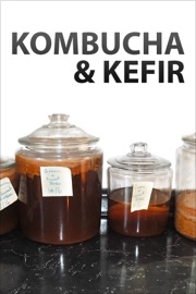 Kombucha and Kefir - Authors and Editors of Instructables