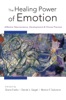 Book The Healing Power of Emotion: Affective Neuroscience, Development & Clinical Practice (Norton Series on Interpersonal Neurobiology)