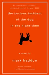 The Curious Incident of the Dog in the Night-Time