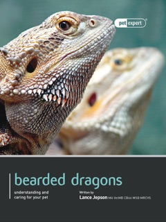 Bearded Dragons by Lance Jepson