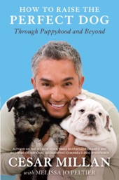 Book cover for How to Raise the Perfect Dog by Cesar Millan & Melissa Jo Peltier