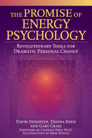 The Promise of Energy Psychology