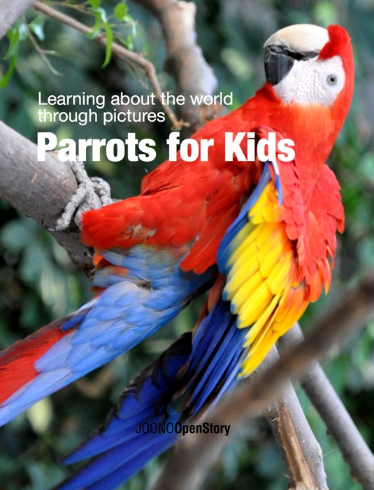 Parrots for Kids