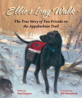 Ellie's Long Walk by Pam Flowers