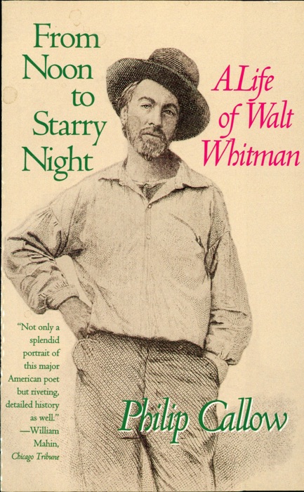 From Noon to Starry Night