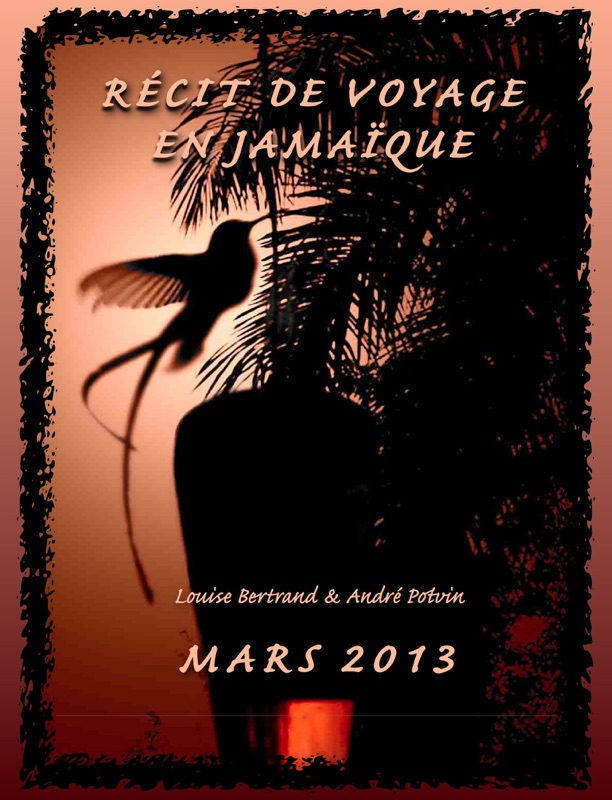 Voyage en jamaïque