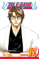 Bleach, Vol. 12