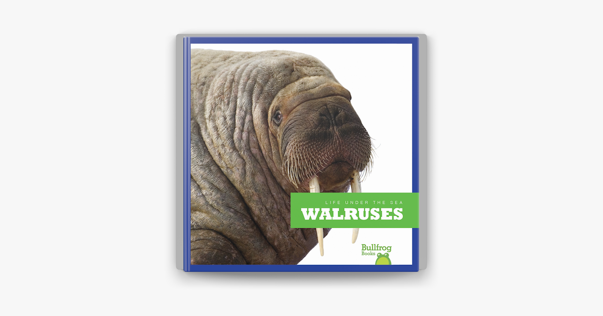 La morsa (Walrus) - Apple Books