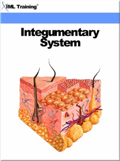 Integumentary System (Human Body) by IML Training