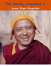 The Merely Imputed I