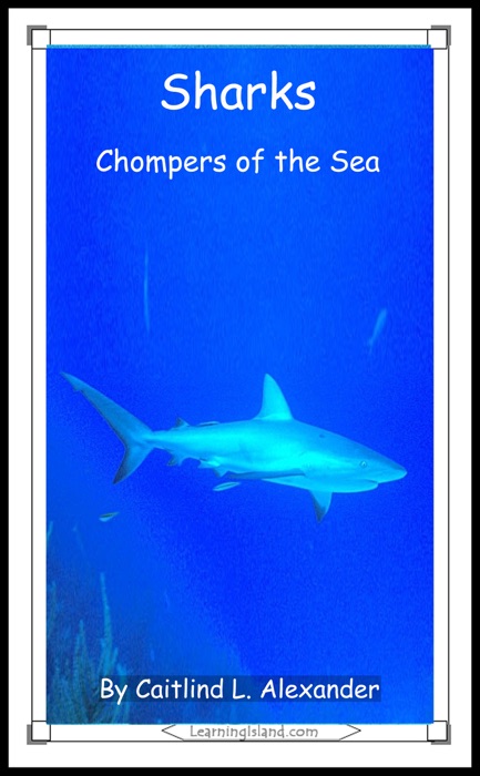Sharks: Chompers of the Sea