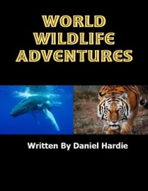 World Wildlife Adventures - Daniel Hardie