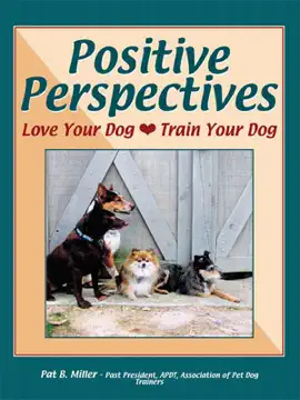 Positive Perspectives