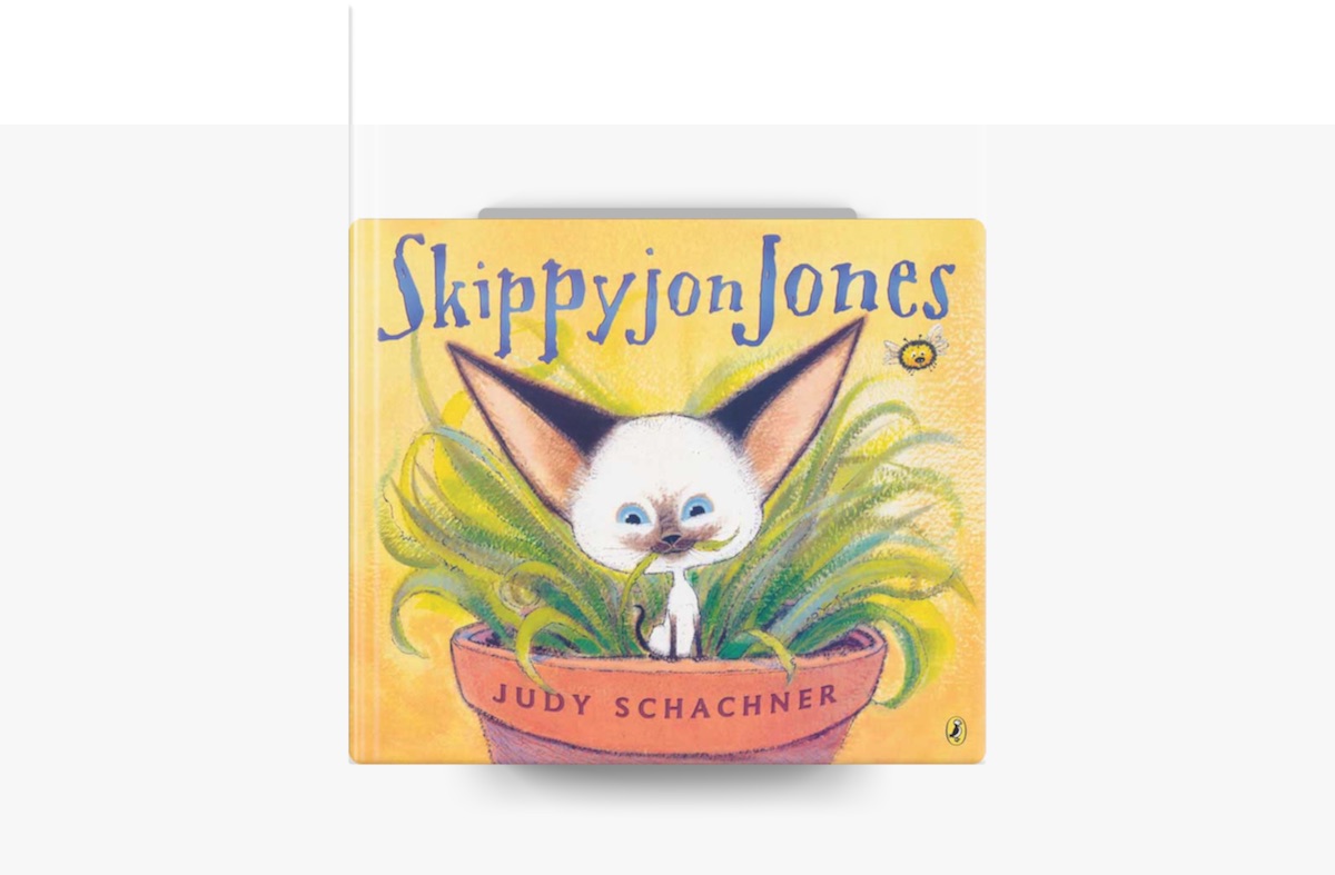 Skippyjon Jones, Lost in Spice: Schachner, Judy, Schachner