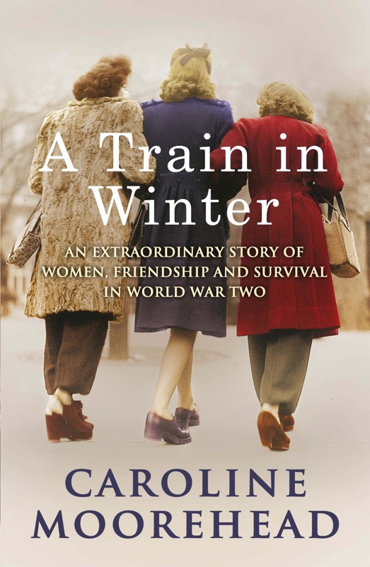 A Train in Winter