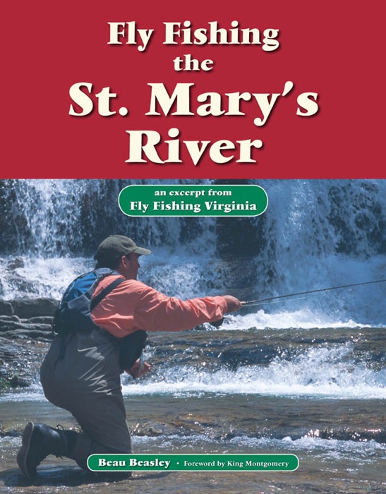 Fly Fishing the St. Mary's River