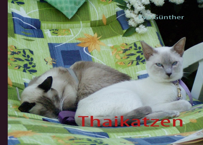 Thaikatzen