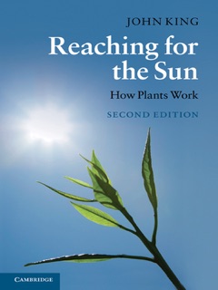Reaching for the Sun: Second Edition by John King