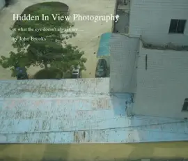 Hidden in View Photography