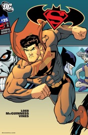 Superman Batman (2010-) #25 - Jeph Loeb & Ed McGuinness