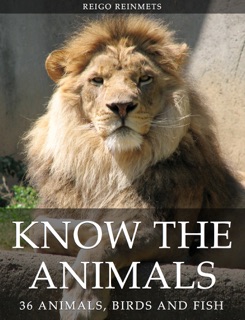 Know the Animals by Reigo Reinmets
