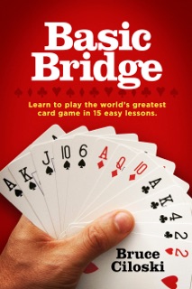 Basic Bridge by Bruce Ciloski