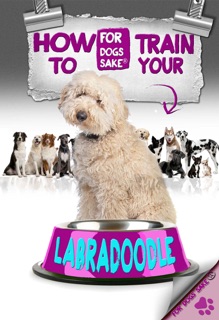 How to Train Your Labradoodle by Wil Hang