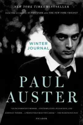 Read: Winter Journal Book