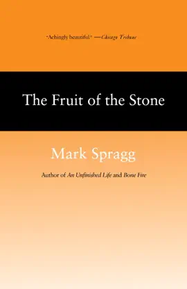 The Fruit of Stone