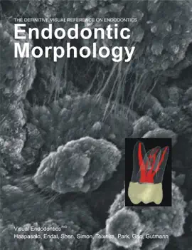 Read: Book Endodontic Morphology
