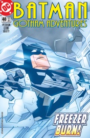 Batman: Gotham Adventures (1998-) #40 - Scott Peterson & Tim Levins