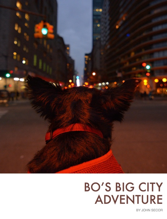 Bo's Big City Adventure