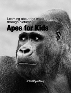 Apes for Kids by Joono