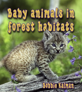 Baby animals in forest habitats by Bobbie Kalman