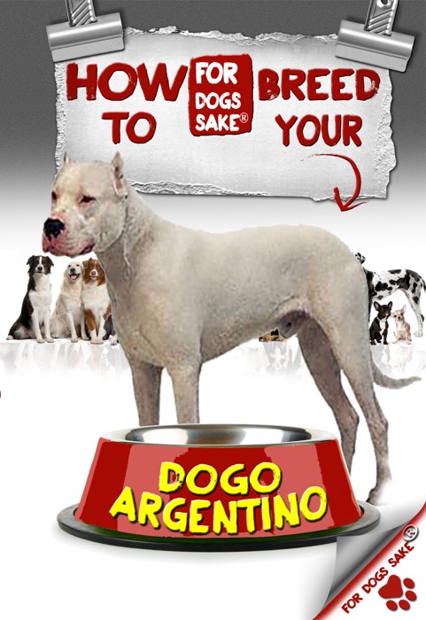 How to Breed Your Dogo Argentino