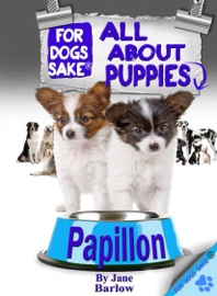 All About Papillon Puppies