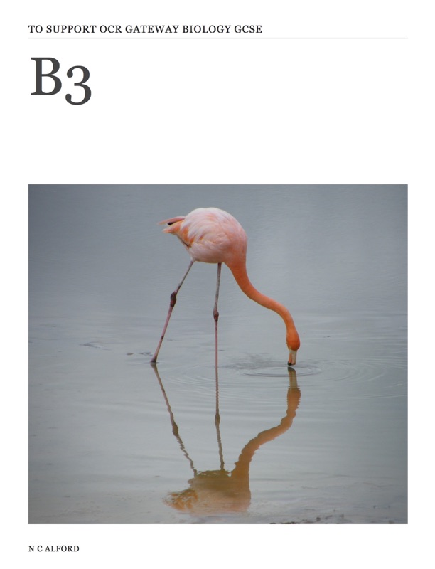 B3