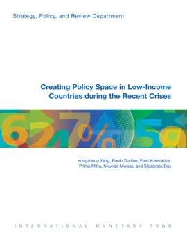 Read: Creating Policy Space in Low-Income Countries During the Recent Book Crises