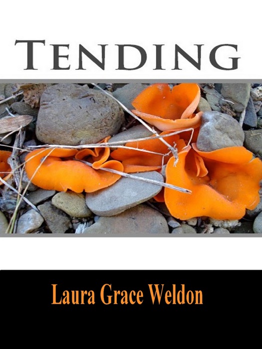 Tending