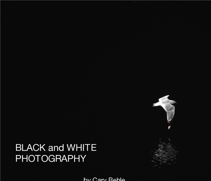 Black and White Photography