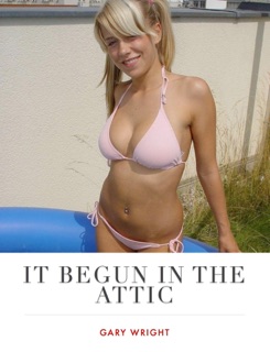It Begun In the Attic by Gary Wright