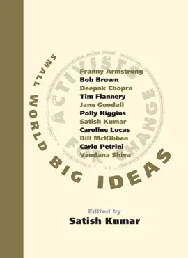 Small World Big Ideas