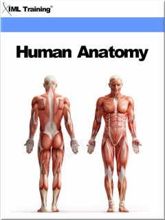 Human Anatomy (Human Body) by IML Training