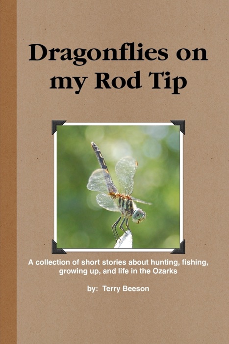Dragonflies On My Rod Tip