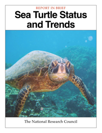 Sea-Turtle Status and Trends