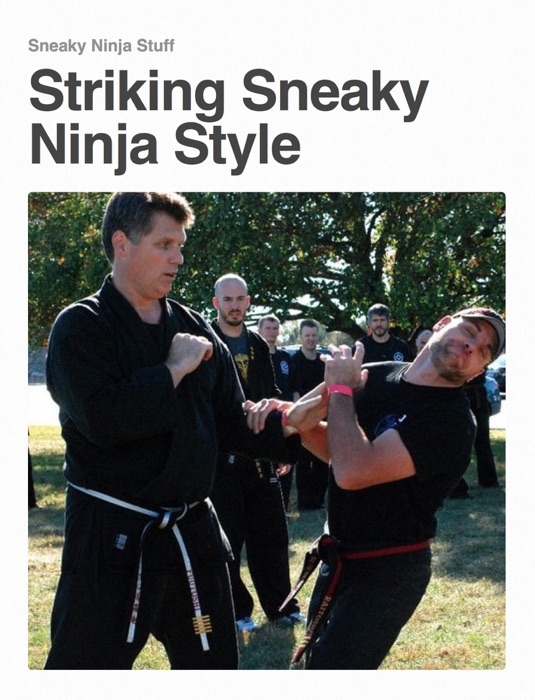 Striking Sneaky Ninja Style