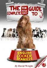 The Complete Guide to English Cocker Spaniels
