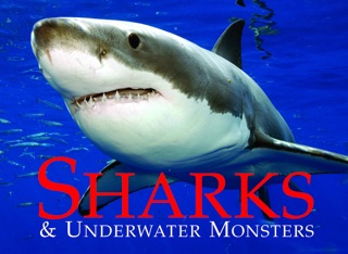Sharks & Underwater Monsters by Paula Hammond