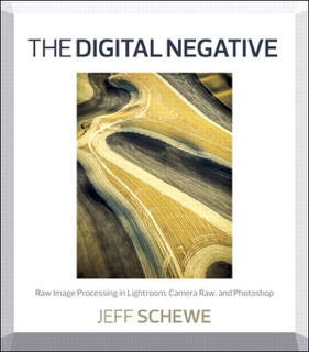 Digital Negative, The by Jeff Schewe