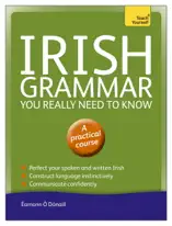 Irish Grammar You Really Need to Know: Teach Yourself